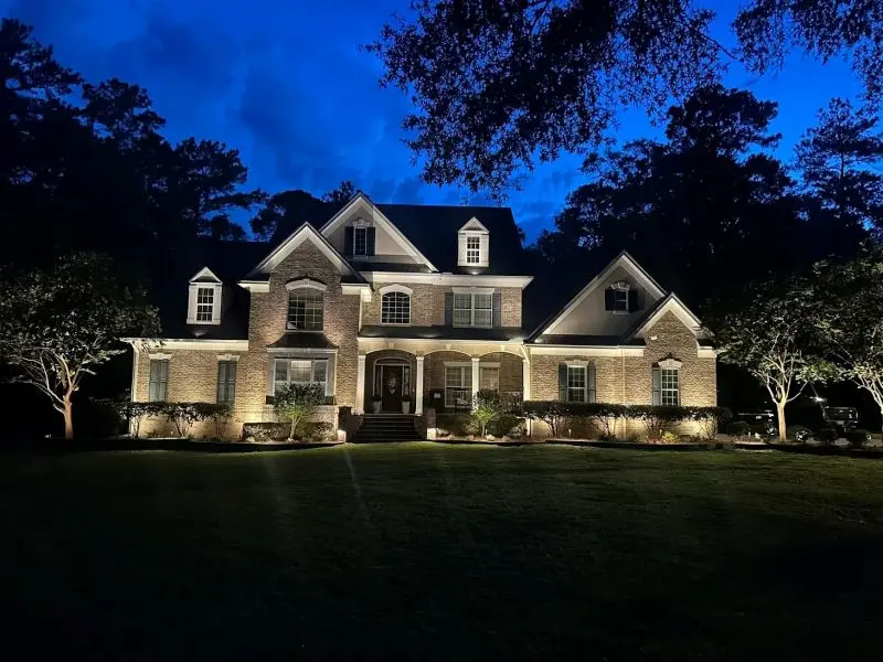 Architectural and Tree Uplighting